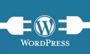 冷门资源：WordPress新手建站+设置教程（共2套）